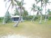 DSC09504