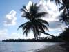 dominicanrepublicschick-88
